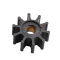 Vetus